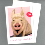A Hog and a Kiss for Valentine's Day